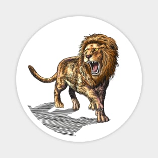 Roaring Lion Drawing Magnet